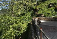 其他 5 Konak Grand Apart