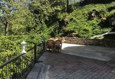 其他 6 Konak Grand Apart