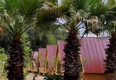 Lain-lain 5 Donkisot Pansiyon