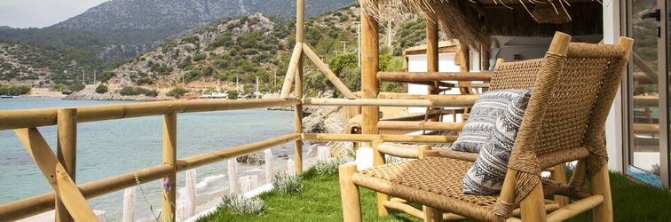 其他 Mendelle Datça