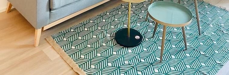 其他 Large 1 bedroom -Center terrace parking