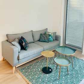 Primary image1Large 1 bedroom -Center terrace parking,卢森堡公寓