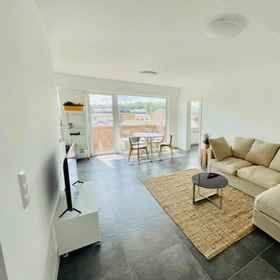 Primary image1Large 1 bedroom with Terrace & Parking,卢森堡公寓