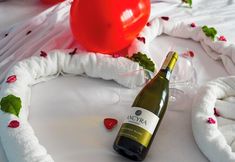 その他 5 Marquis Blue Hotel