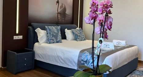 其他 2 Hotel white swan