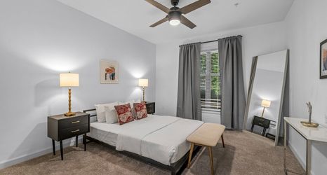 Others 2 Furnished Apartments near Emory