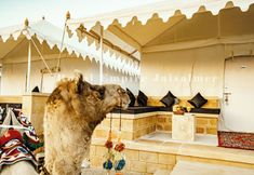 Lain-lain 5 Royal Empire Resort Jaisalmer