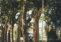 其他 6 Estalagem de Santa Iria Hotel & Spa