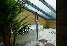 Others 6 Dream house