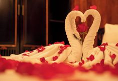 Lain-lain 2 HALONG CROWN LEGEND CRUISE