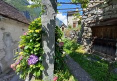 其他 3 Room-"casa Coerente" Cavergno - Room #2