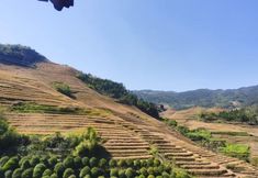 Others 2 Yu Yong Guesthouse (Longsheng Longji Rice Terraces)