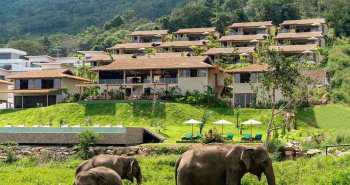 Others Wild Cottages Elephant Sanctuary Resort