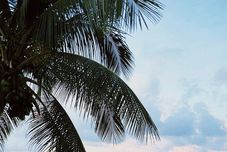 Lain-lain Pousada Nativo