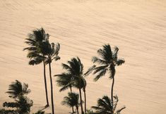 其他 7 Hy Beach Flats - Santa Maria