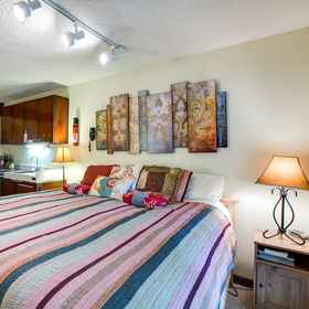 Primary image 1 雪线旅馆公寓#46 - 适合预算有限的滑雪者和徒步旅行者！现在有Wifi, 霍特科姆县 Apartments