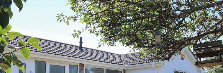 Lainnya Compass Point