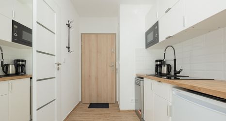 Others 2 Sunny Sky Studio Dziwnow by Renters