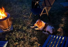 기타 7 Boutique Luxury Bell Tent Near Torpoint