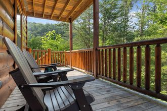 その他 4 Mountain High Cinema