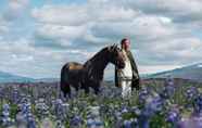 Khác 5 Sleeping with the Horses