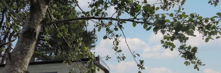 기타 Astoria Lodge