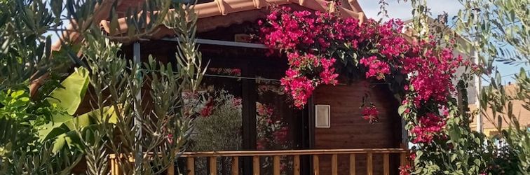 其他 Riviera Bungalow Evleri Demre