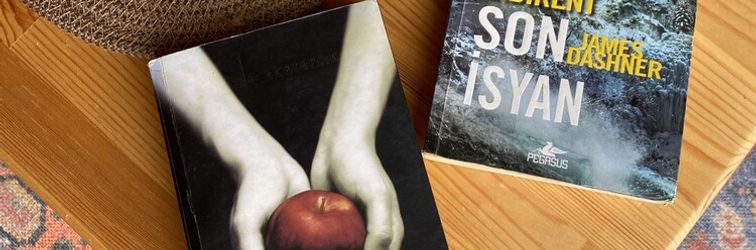 其他 Saklıtepe bungalov