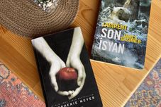 其他 Saklıtepe bungalov