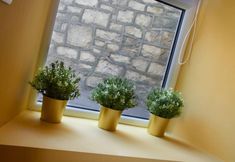 其他 7 Knightstone Apartment