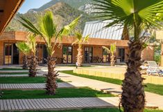 기타 7 Araz Wooden Concept