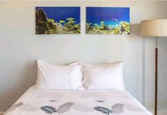 Others 4 Villa located on Grace Bay Beach
