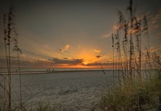 その他 6 Seashell 19