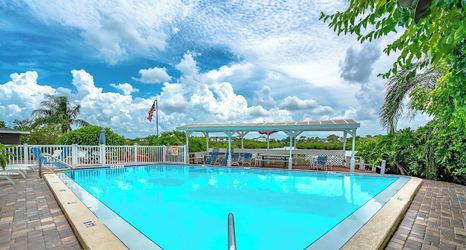 其他 2 9302seashell19isnco - Seashell 19