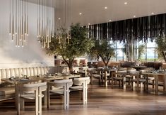 其他 3 Elite World Comfy Samsun Atakum