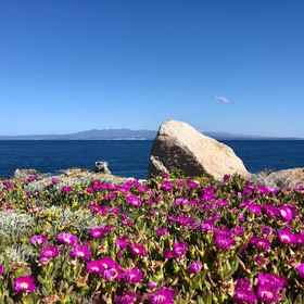 Primary image 1 Relaxing Cristal Bedroom Apartment Sleeps Num1502, Trinità d'Agultu e Vignola Apartments