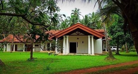 Khác 2 Coco Villa Peach Tree