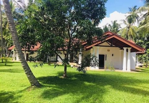 Khác Coco Villa Peach Tree