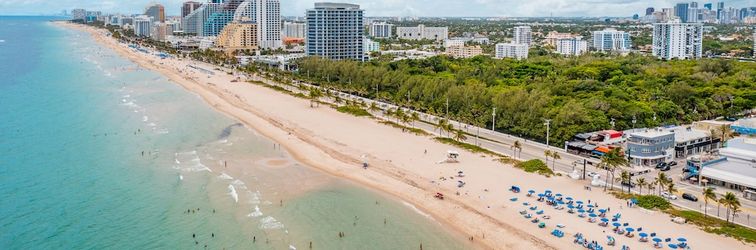 其他 Purple Pelican by Opus (Suite 2)