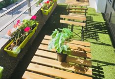 其他 7 Large 3bedrooms in belair TerraceParking