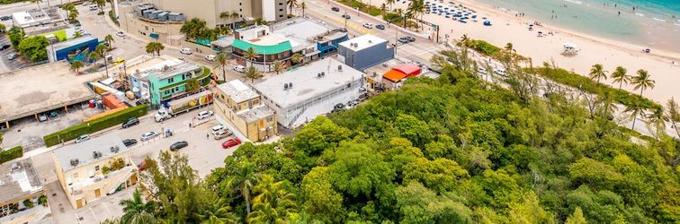 Others Purple Pelican by Opus (Suite 4)