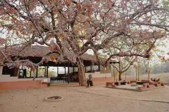 Others 4 Bandhavgarh National Park