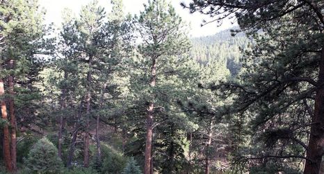 Others 2 Fawn Valley Inn: 286 1 Bedroom Condo