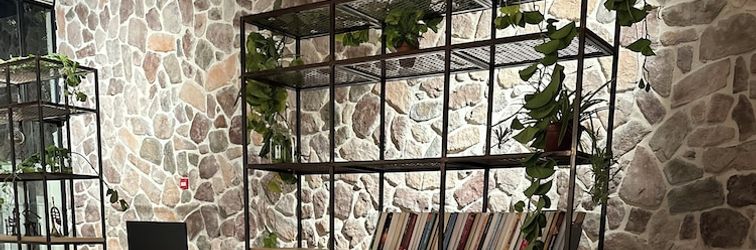 其他 hotel shoshana