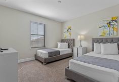 其他 6 162 Balmoral