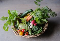 Lain-lain 4 Ryokan Tsuchi to Ito