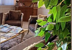 其他 7 SiVAS LEON OTEL