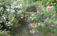 Khác 4 Charming 3-bed Cottage in Llandysul