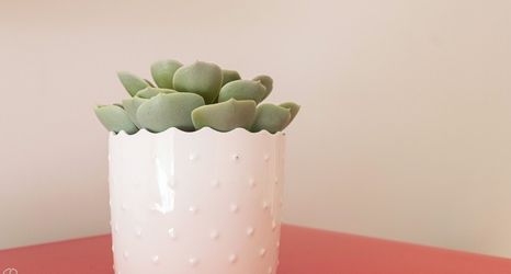 Others 2 Italianway - Stradivari 4