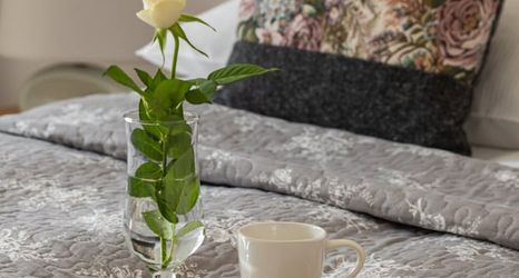 기타 2 Apartment Mazowiecka Park by Renters